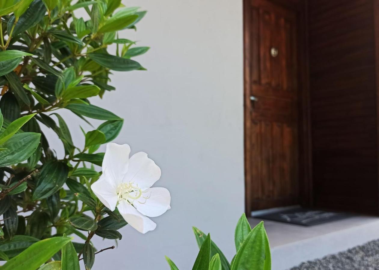 Chales Da Ninah Penha  Buitenkant foto